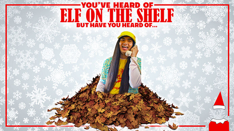 You've Heard of Elf on the Shelf 4